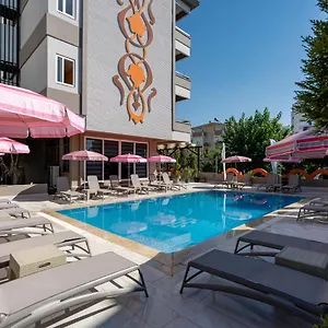 book here